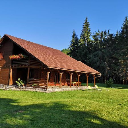 Casa de Vacanta Dintre Brazi Topliţa Esterno foto