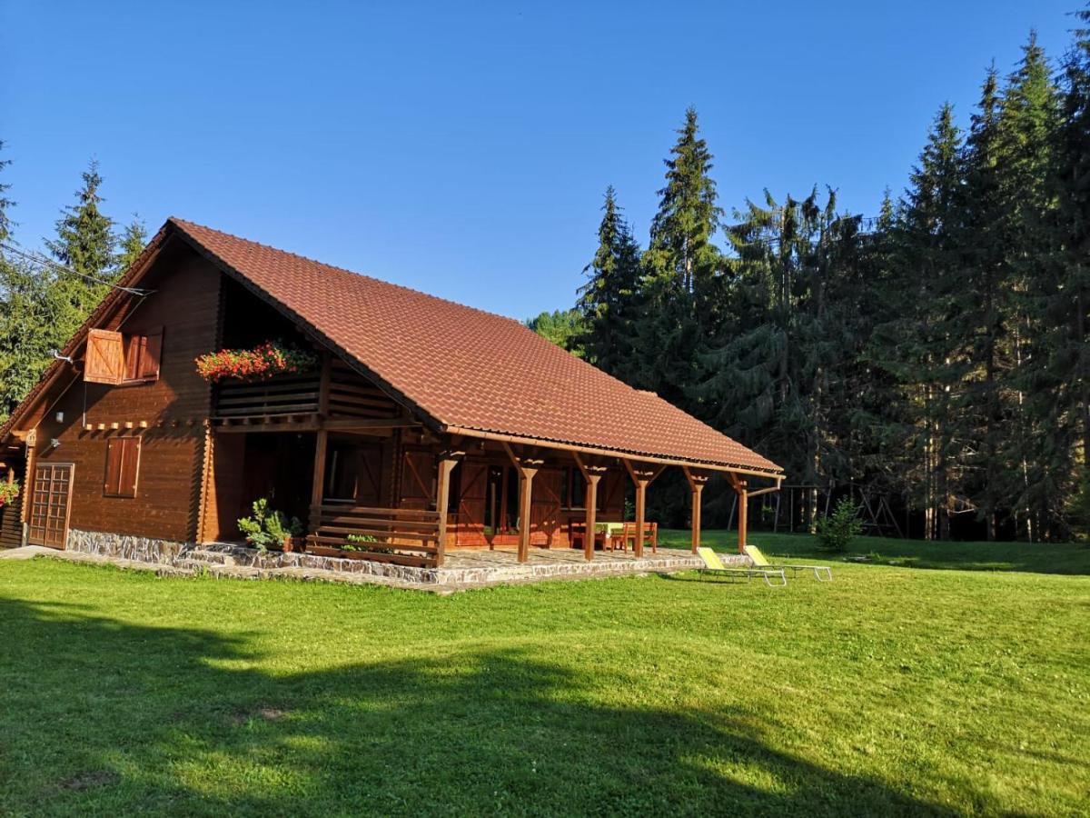 Casa de Vacanta Dintre Brazi Topliţa Esterno foto