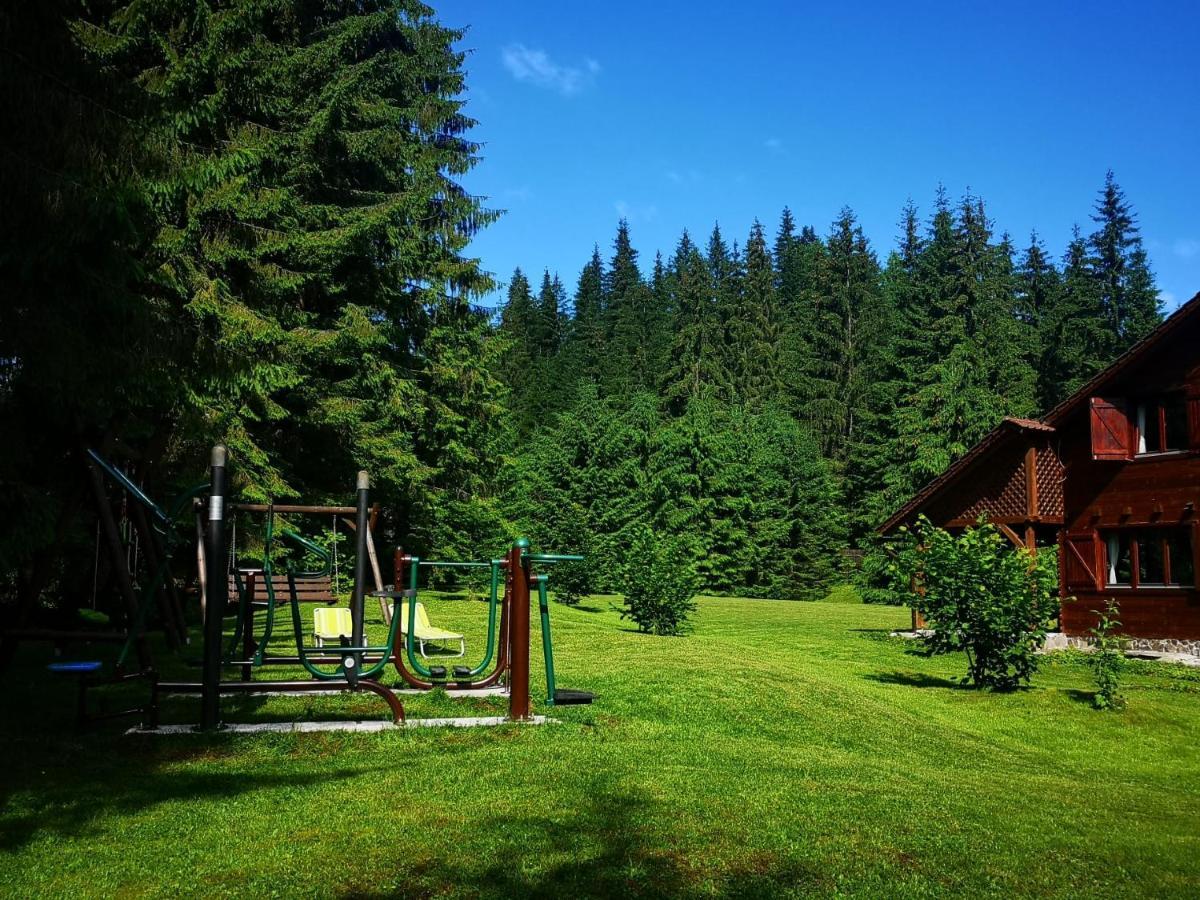 Casa de Vacanta Dintre Brazi Topliţa Esterno foto