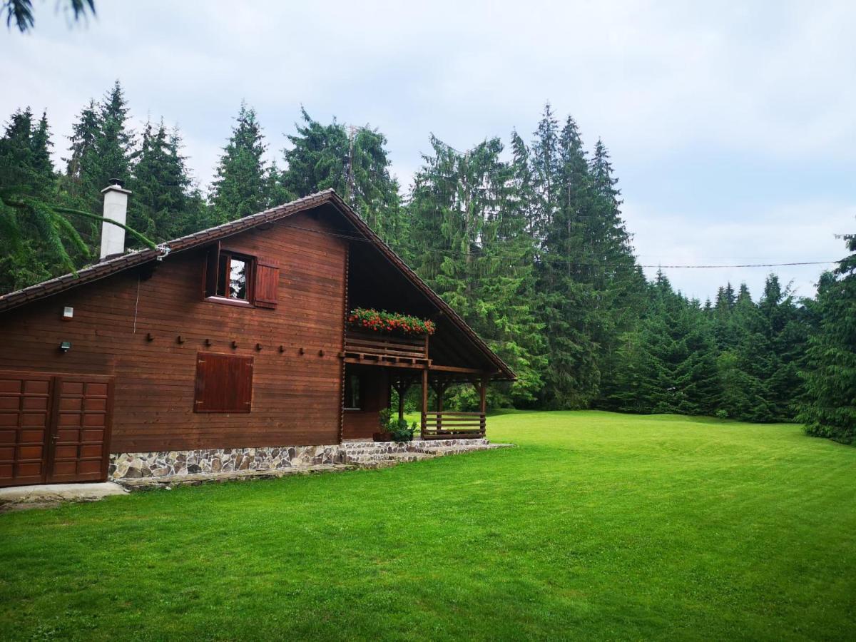Casa de Vacanta Dintre Brazi Topliţa Esterno foto