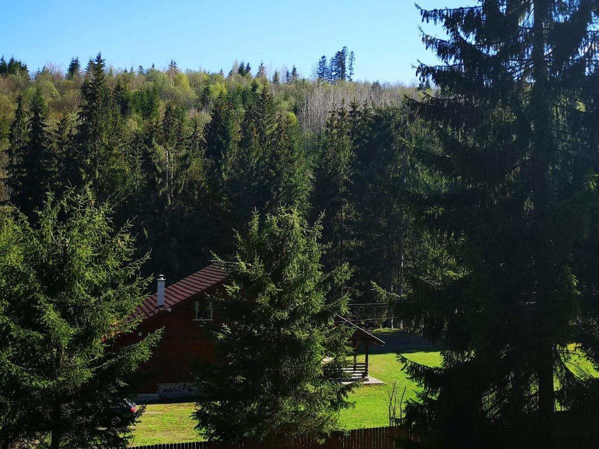 Casa de Vacanta Dintre Brazi Topliţa Esterno foto