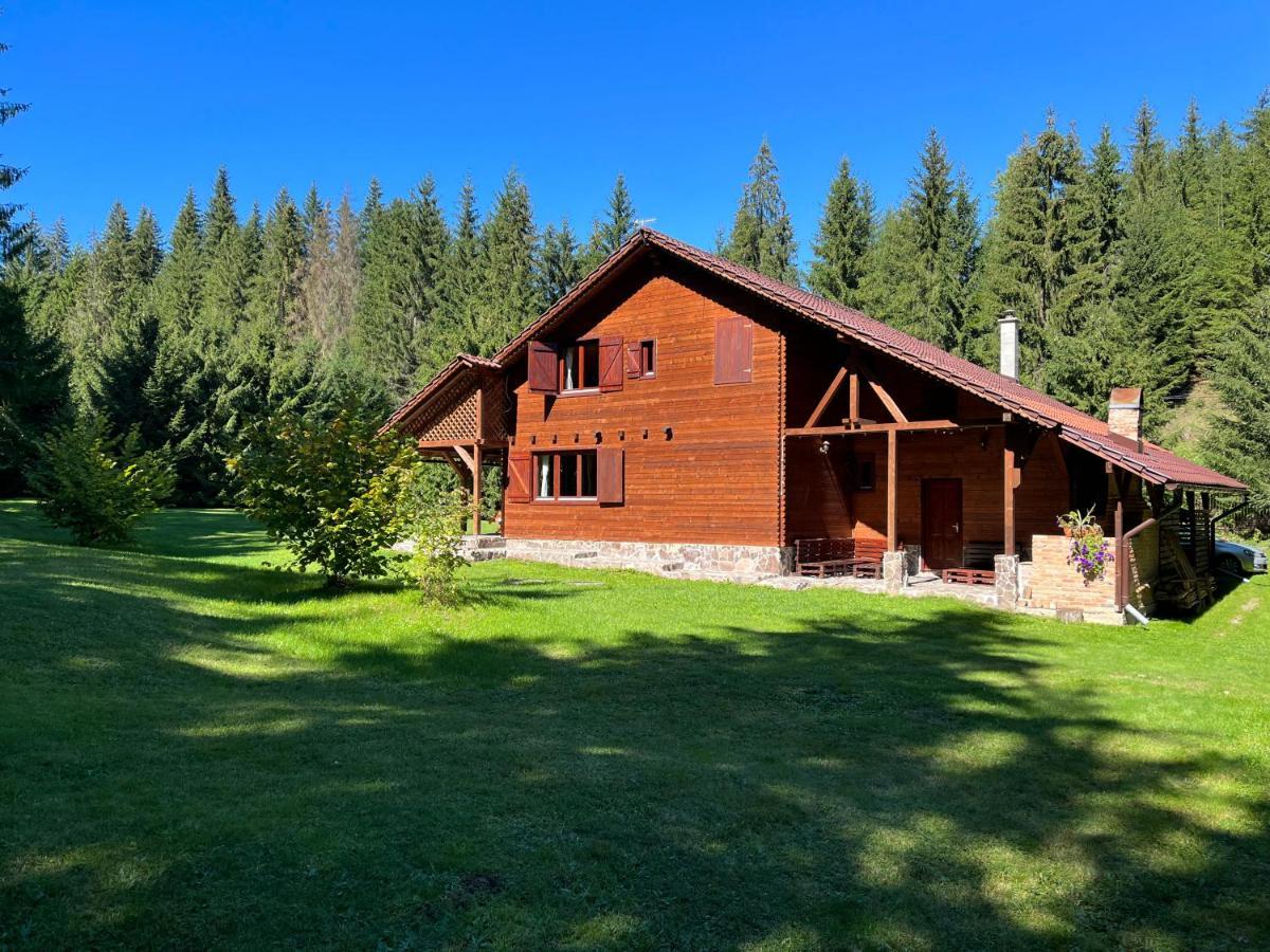 Casa de Vacanta Dintre Brazi Topliţa Esterno foto