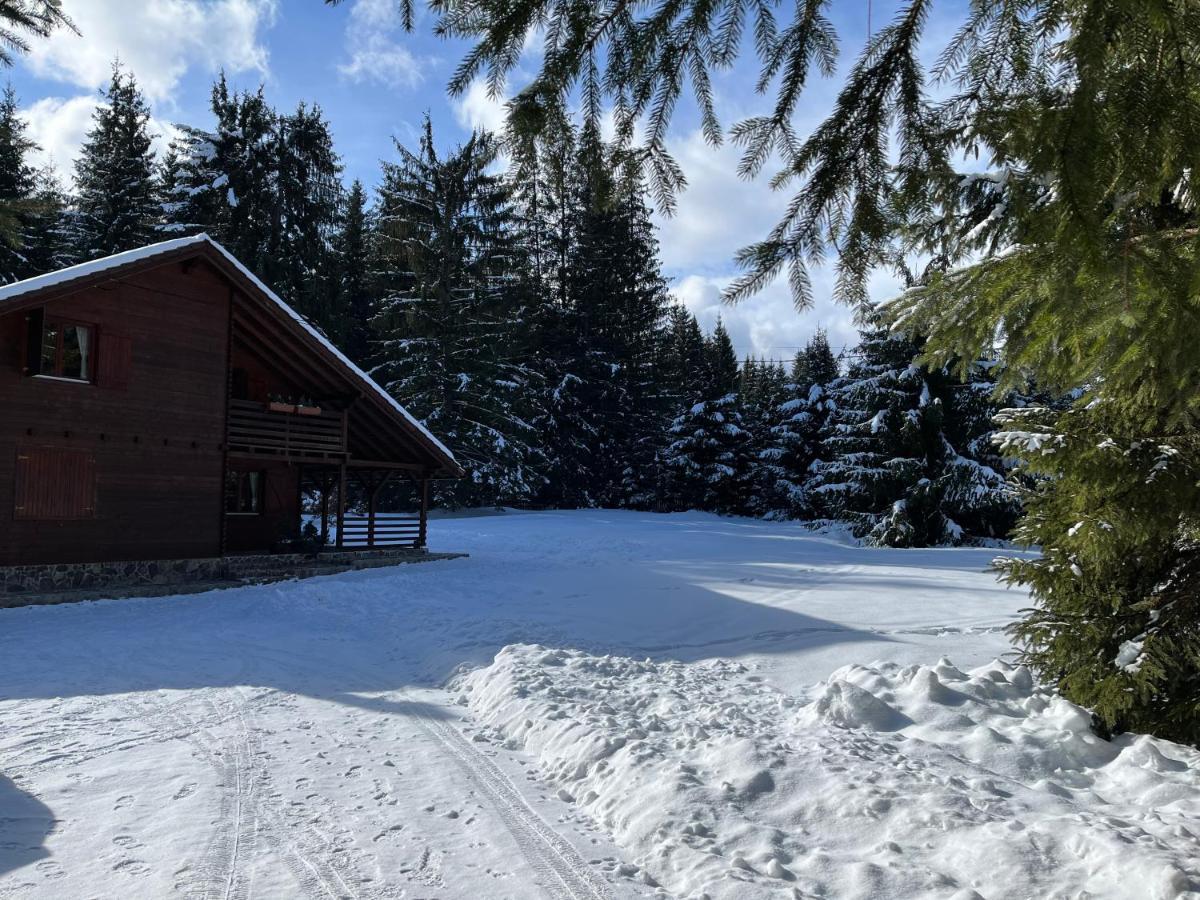 Casa de Vacanta Dintre Brazi Topliţa Esterno foto